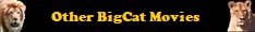 CLICK for Other Big Cat Movies